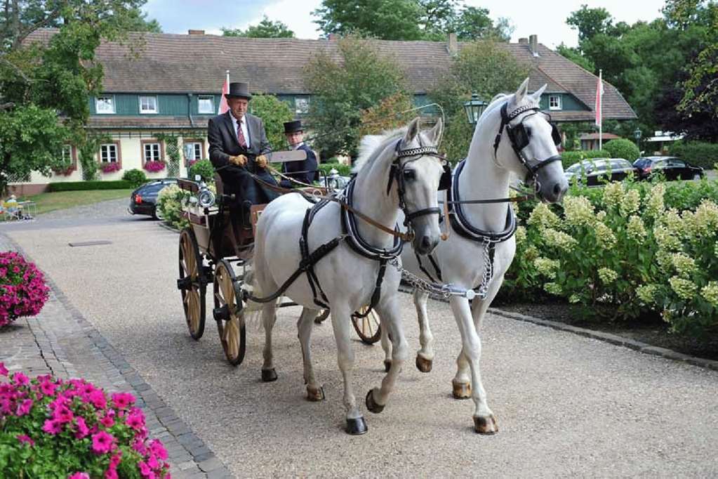 Der Linslerhof - Hotel, Restaurant, Events & Natur Überherrn Wnętrze zdjęcie