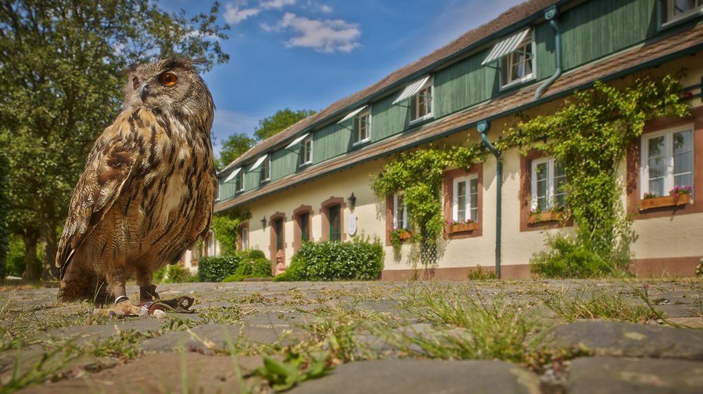 Der Linslerhof - Hotel, Restaurant, Events & Natur Überherrn Zewnętrze zdjęcie